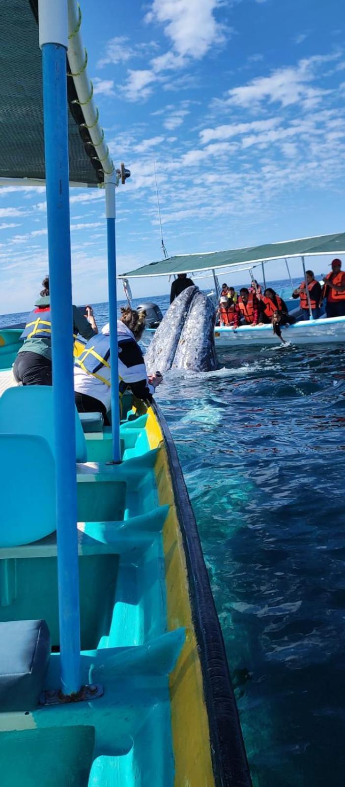 Hotel- Whale Tours And Sport Fishing Vista Mag-Bay Puerto San Carlos ภายนอก รูปภาพ