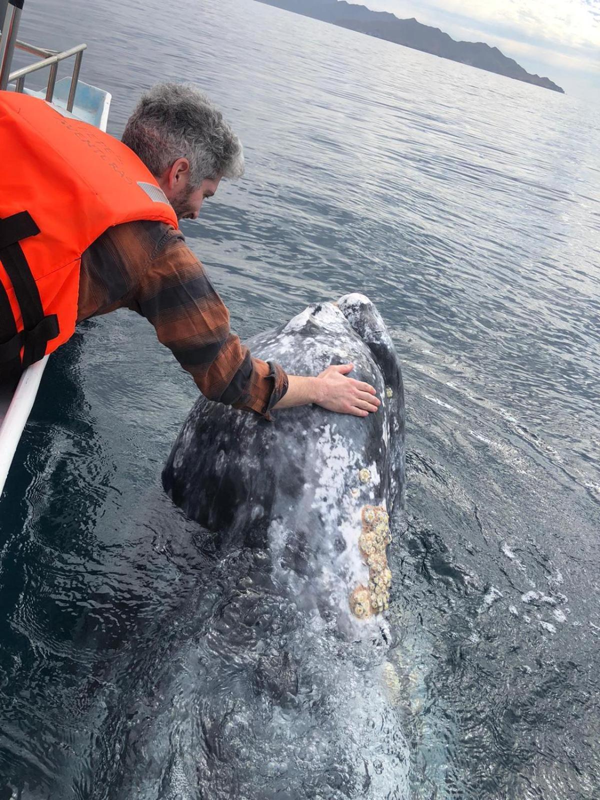 Hotel- Whale Tours And Sport Fishing Vista Mag-Bay Puerto San Carlos ภายนอก รูปภาพ