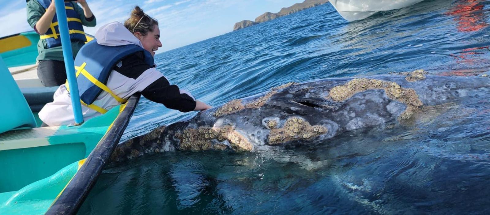 Hotel- Whale Tours And Sport Fishing Vista Mag-Bay Puerto San Carlos ห้อง รูปภาพ
